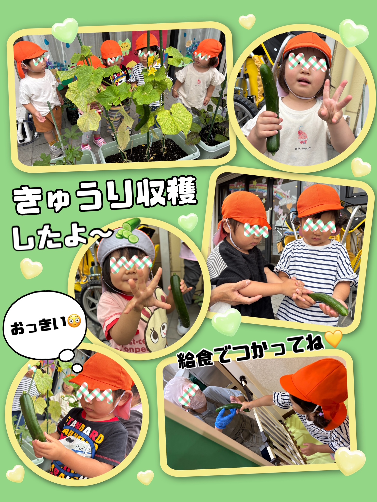 画像の説明